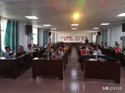 定安縣雷鳴鎮(zhèn)舉辦化肥減量增效技術(shù)培訓(xùn)班，以信息技術(shù)咨詢助力現(xiàn)代農(nóng)業(yè)發(fā)展